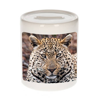 Foto jaguar spaarpot 9 cm - Cadeau jaguars liefhebber - Spaarpotten