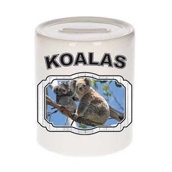 Dieren liefhebber koala beer spaarpot - koalaberen cadeau - Spaarpotten