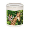 Foto giraffe spaarpot 9 cm - Cadeau giraffen liefhebber - Spaarpotten