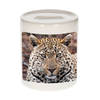 Foto jaguar spaarpot 9 cm - Cadeau jaguars liefhebber - Spaarpotten