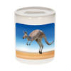 Foto kangoeroe spaarpot 9 cm - Cadeau kangoeroes liefhebber - Spaarpotten