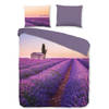 Pure Dekbedovertrek Micropercal Lavender - violet 200x200/220cm