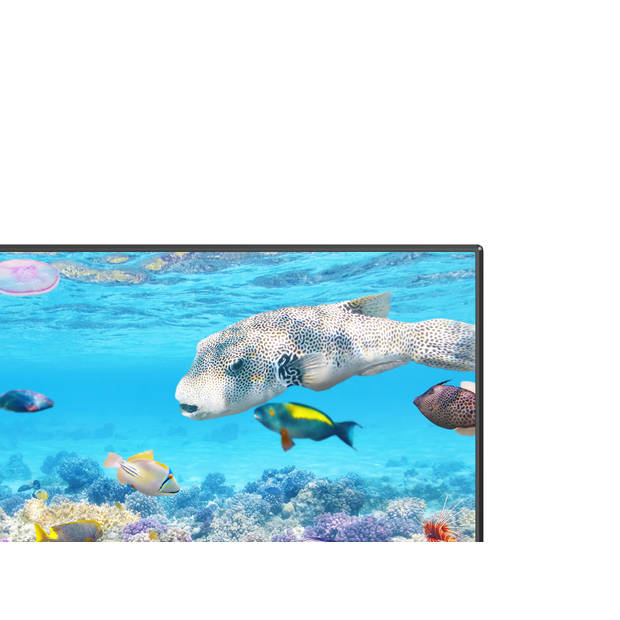 ChiQ L40H7N tv 101,6 cm (40'') Full HD Smart TV Wi-Fi Zwart