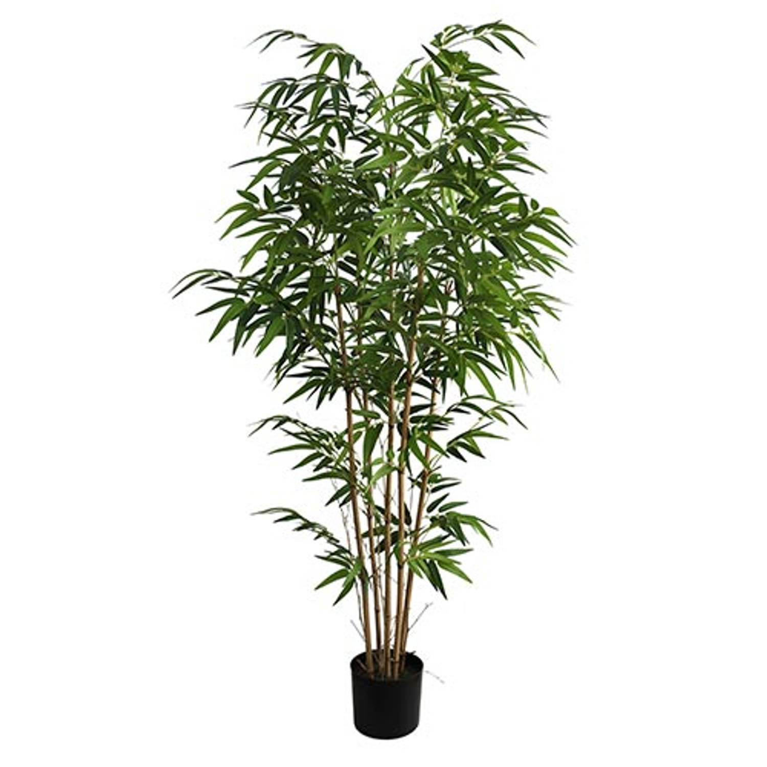 weg te verspillen Snor wijsvinger Bamboe plant 150 cm kunstplant Buitengewoon de Boet | Blokker