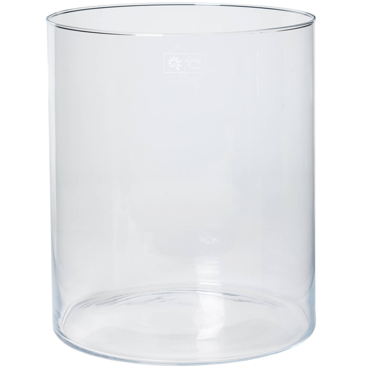 Transparante Home-basics Cilinder Vaas-vazen Van Glas 30 X 35 Cm Bloemen-boeketten Binnen Gebruik