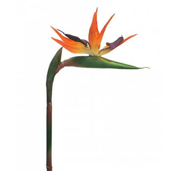 Strelitzia Small 84 cm oranje kunstplant Nova Nature