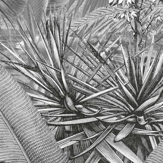Komar Fotobehang Amazonia Black and White 400x250 cm