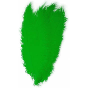 Grote sierveren 50 cm groen - Verkleedveren