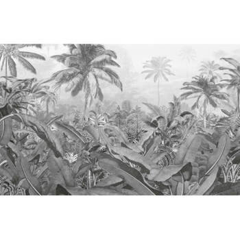 Komar Fotobehang Amazonia Black and White 400x250 cm