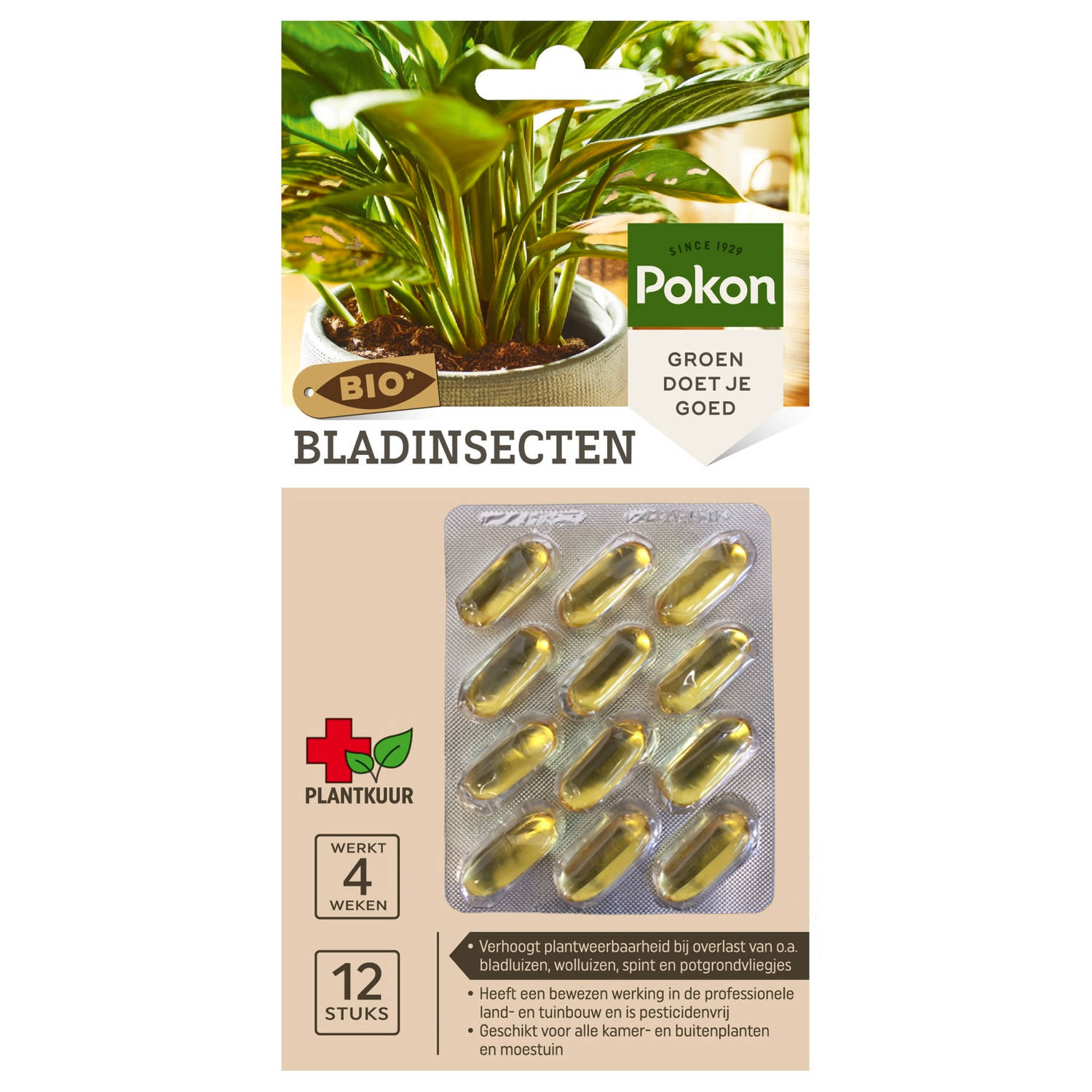 Bio Plantkuur bladinsecten capsules 12 stuks Pokon