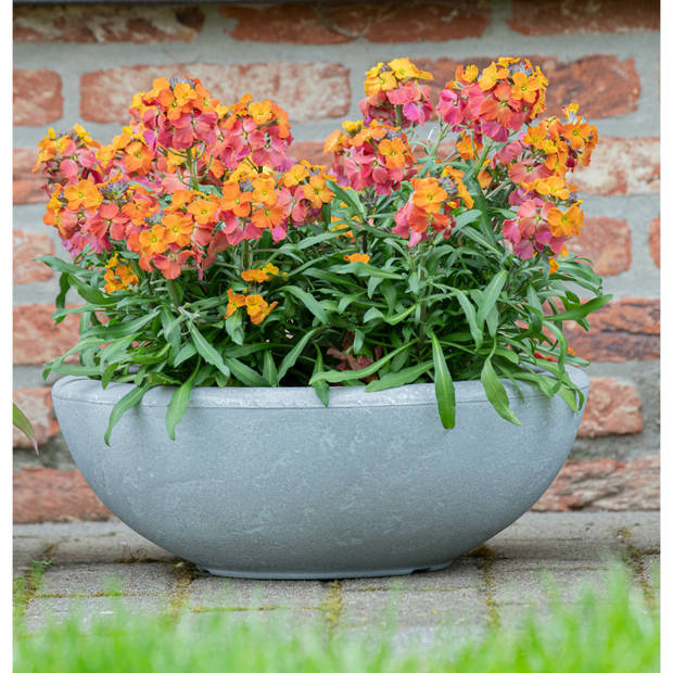 Mega Collections Plantenpot - schaal - kunststof - grijs - buiten - D38 x H14 cm - Plantenpotten