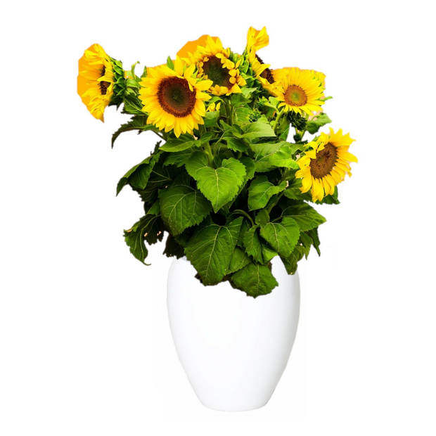 Bloemen vaas/vazen wit van keramiek D25 x H28 cm - Vazen