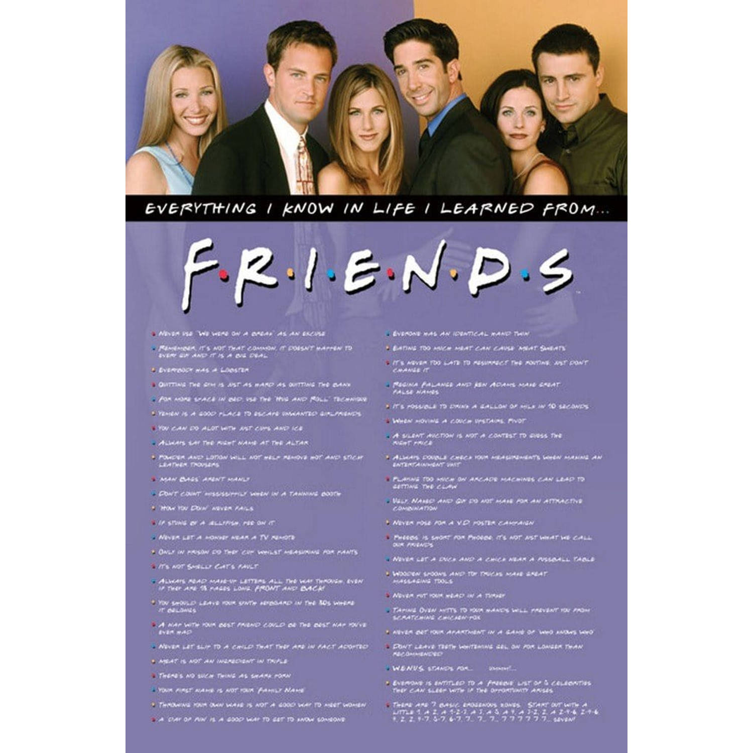 Friends Everything I Know 24 x 36 Inches Maxi Poster