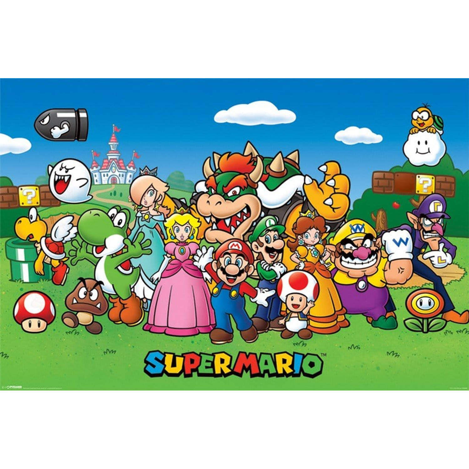 Nintendo Super Mario Characters 24 x 36 Inches Maxi Poster