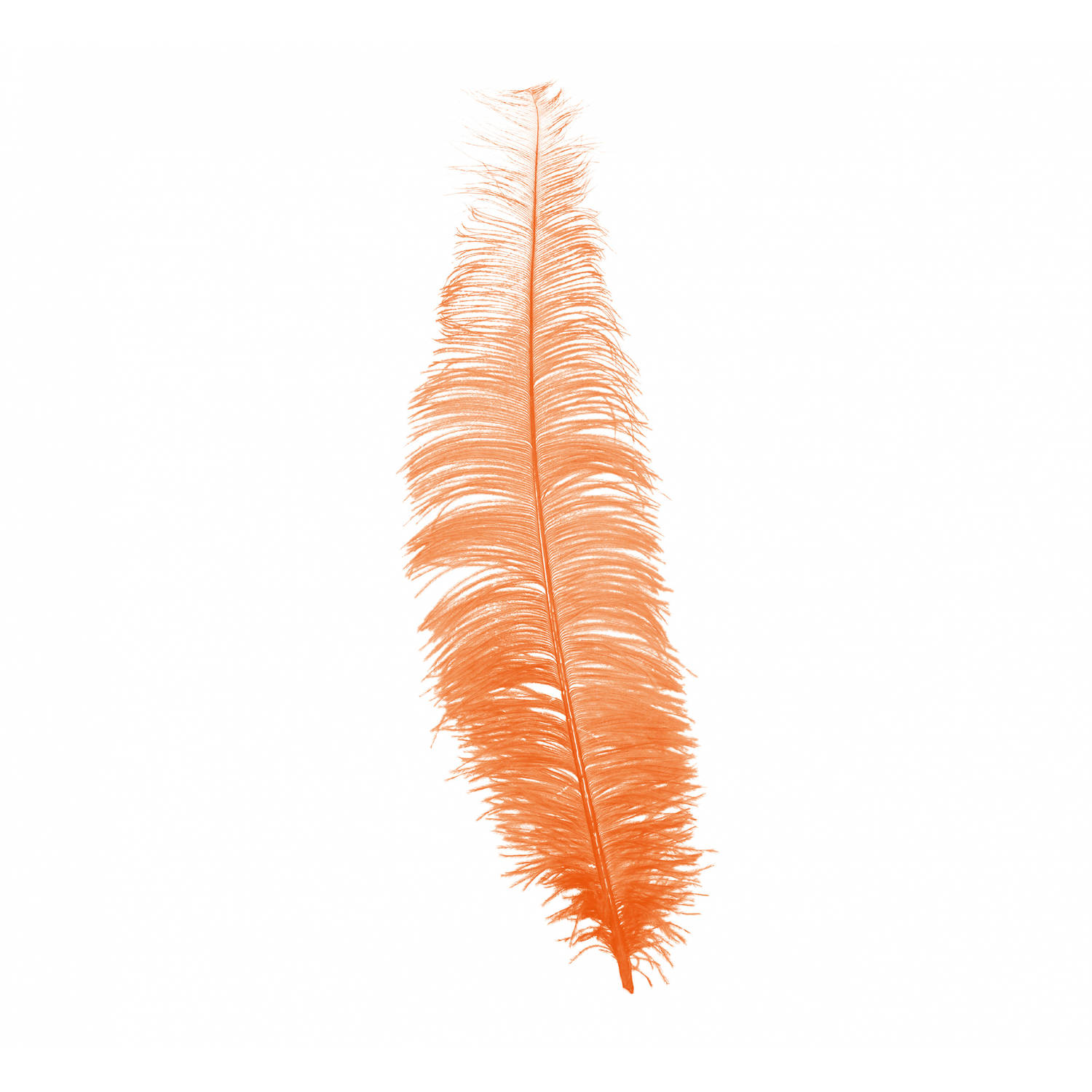 Fiestas Guirca hoofdband struisvogel veren 40 cm oranje