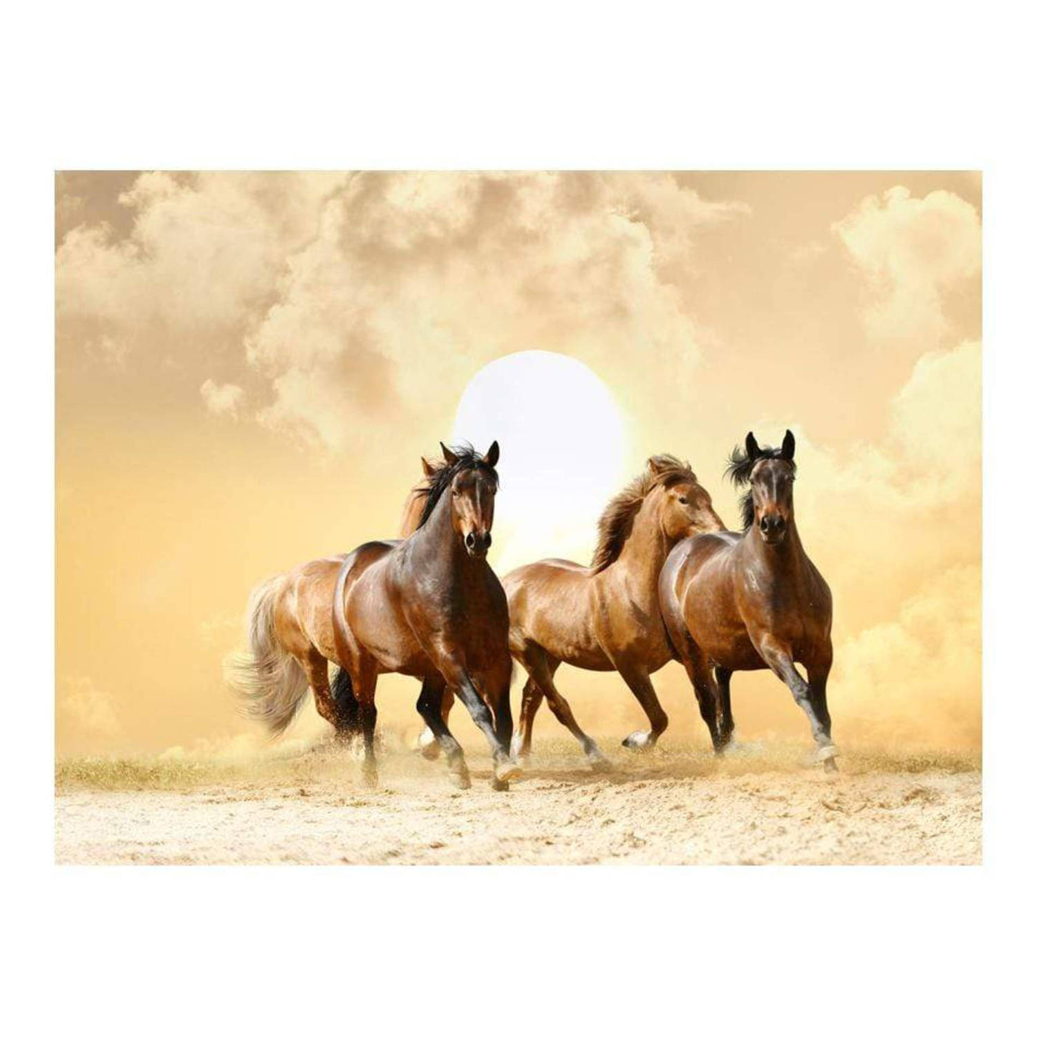 Artgeist Running Paarden Vlies Fotobehang