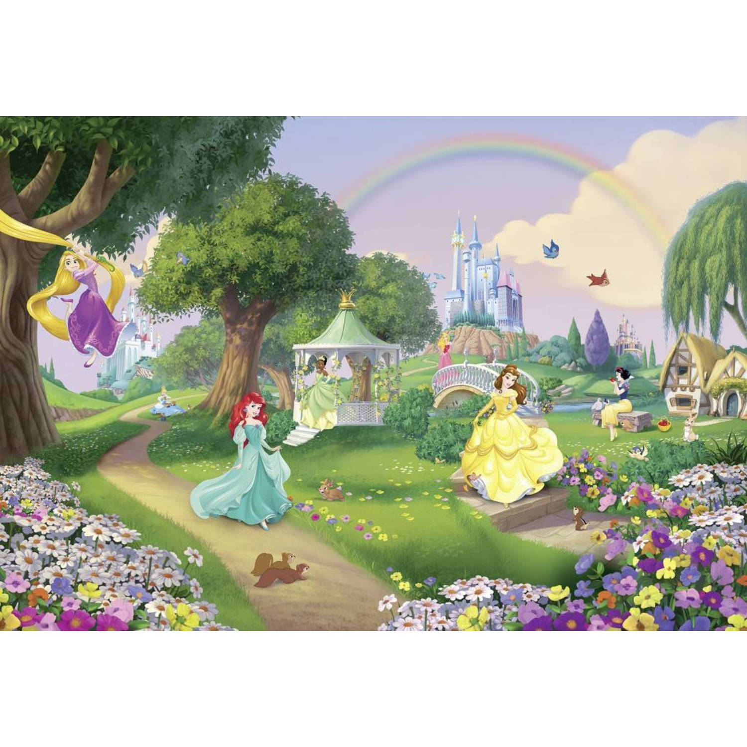 Komar fotobehang Disney Princess Rainbow, Komar, Comic