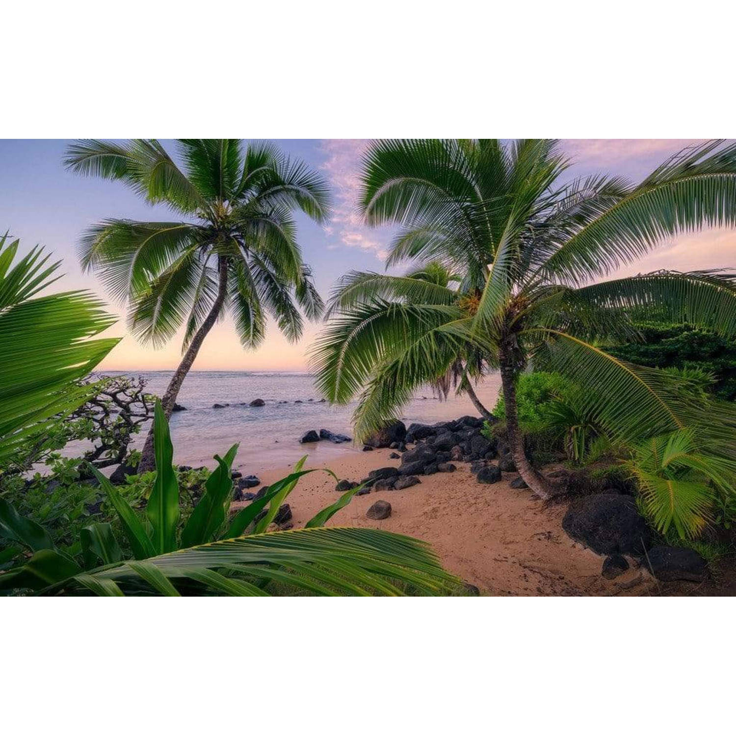 Komar fotobehang Hawaiian Dreams