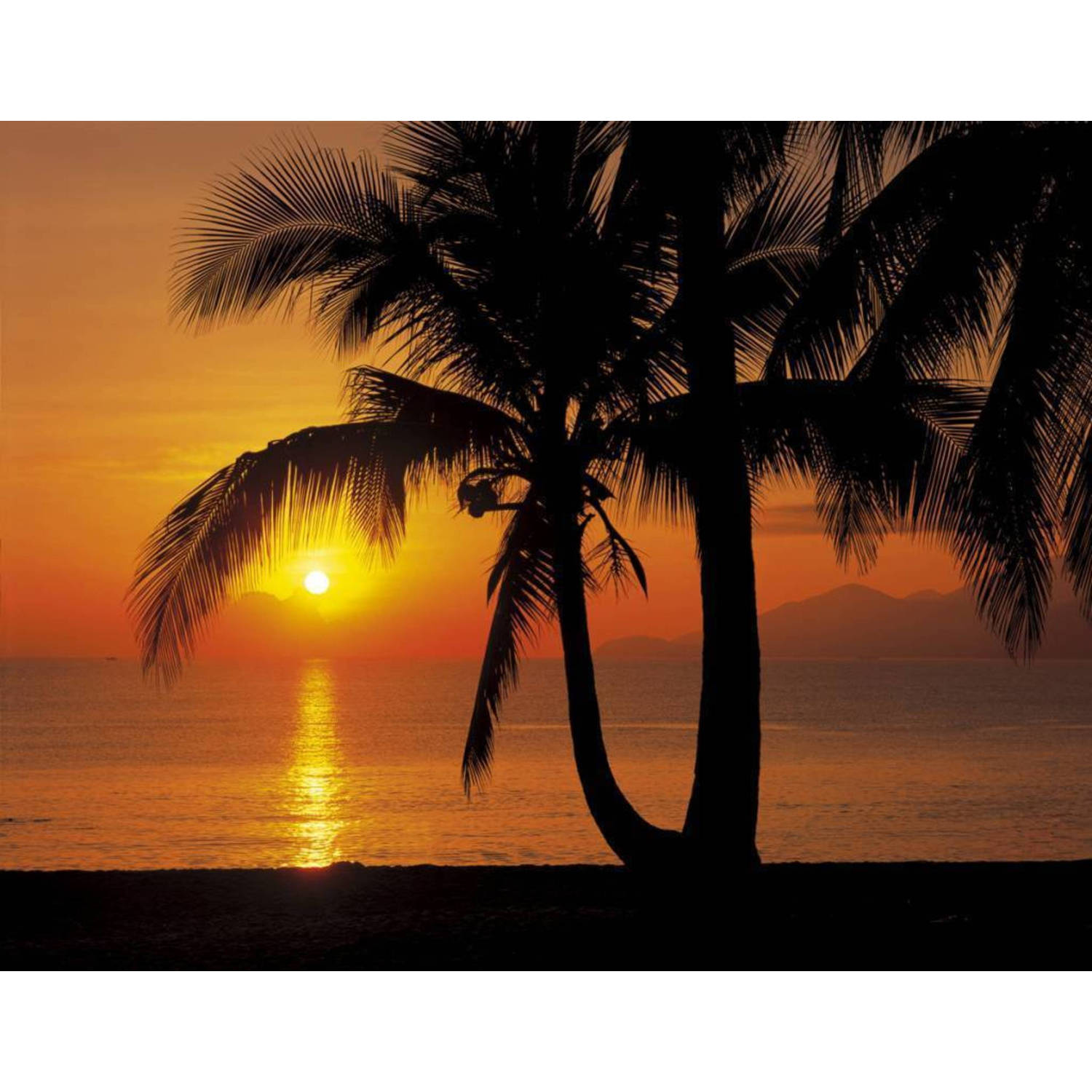 Fotobehang Palmy Beach Sunrise