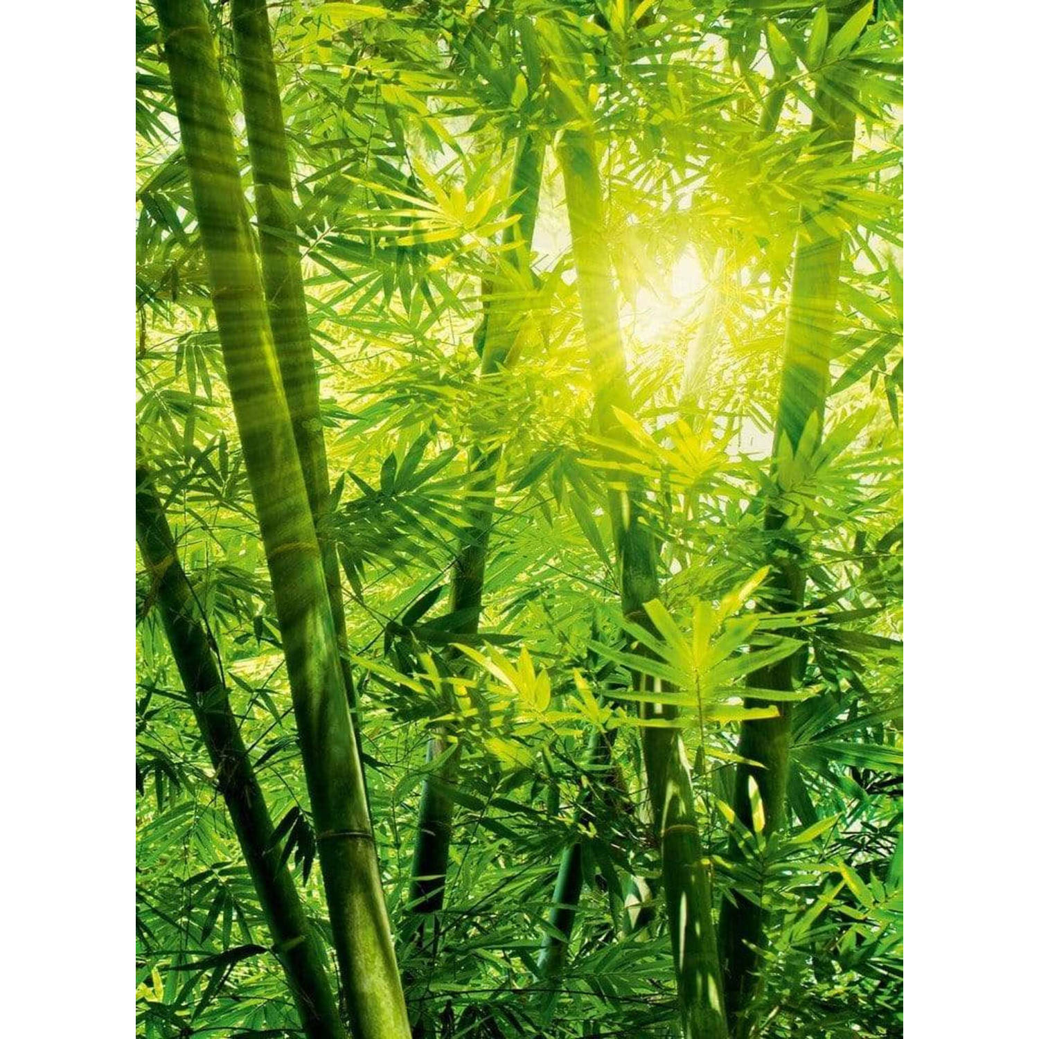 Wizard+genius Bamboo Forest Vlies Fotobehang 192x260cm 4-banen