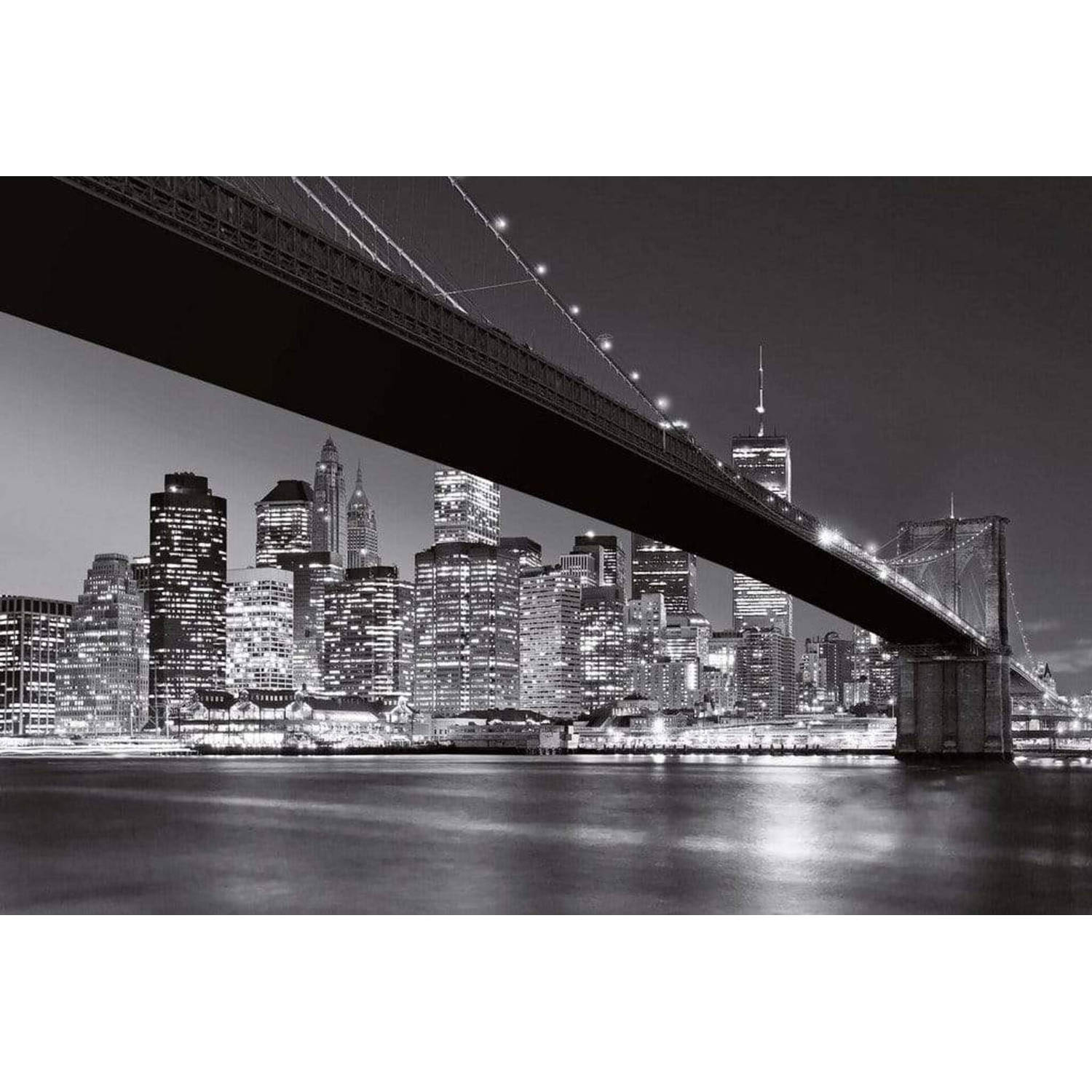 Wizard+genius Brooklyn Bridge Ny Vlies Fotobehang 384x260cm 8-banen