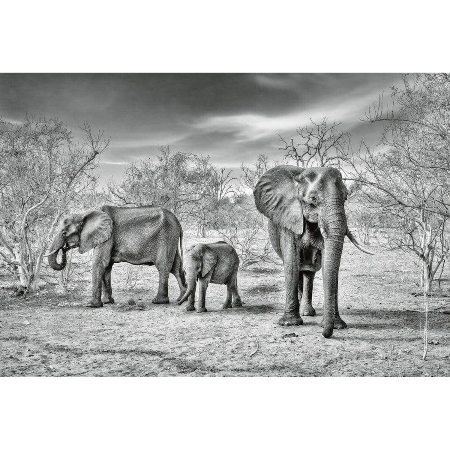 Wizard+genius Elephant Family Vlies Fotobehang 384x260cm 8-banen