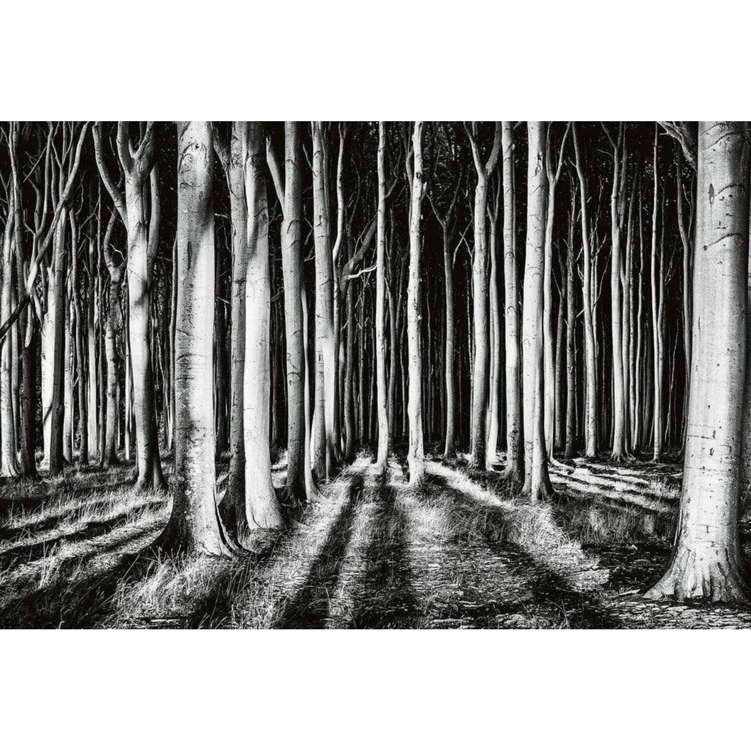 Wizard+genius Ghost Forest Vlies Fotobehang 384x260cm 8-banen