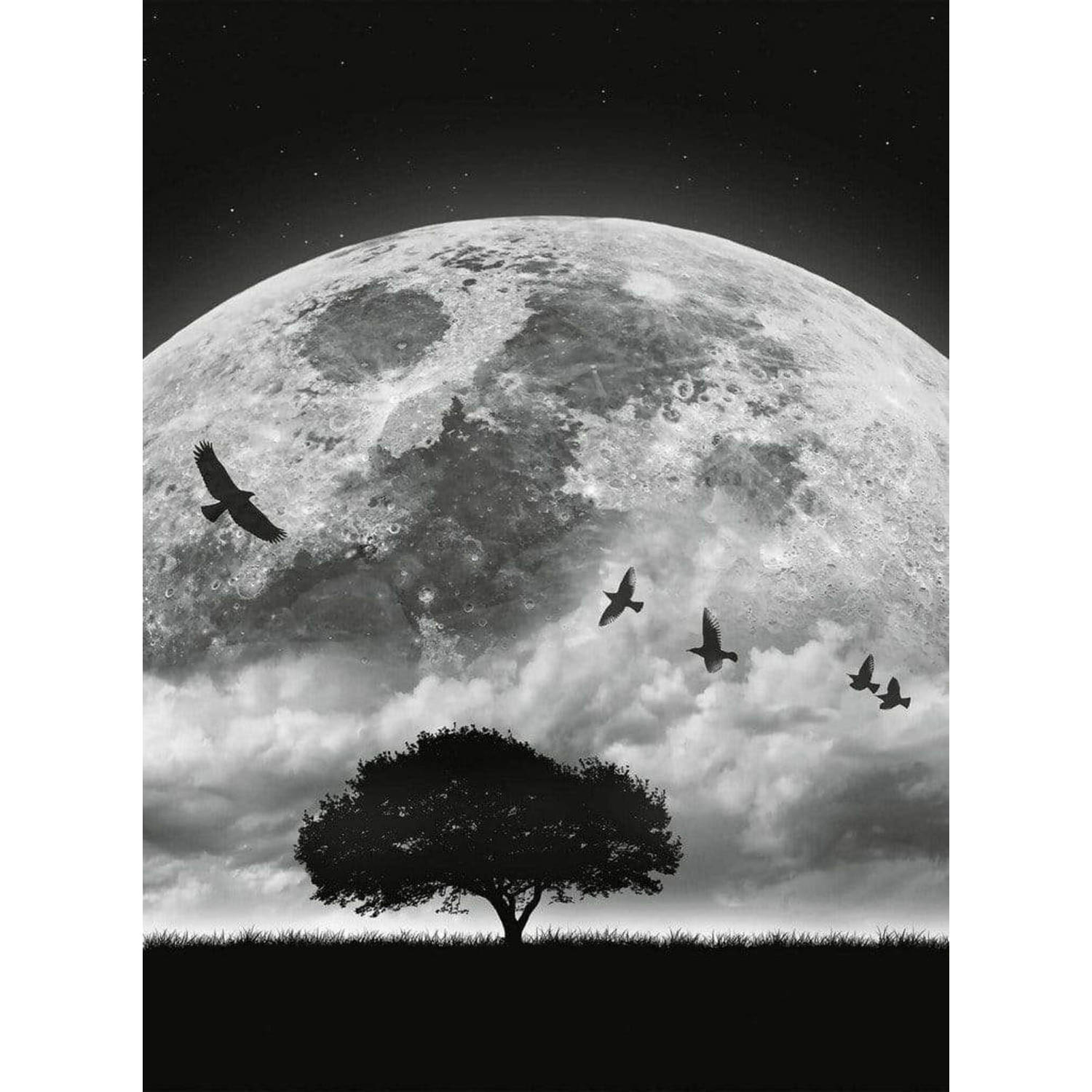 Wizard+genius Moon And Birds Vlies Fotobehang 192x260cm 4-banen