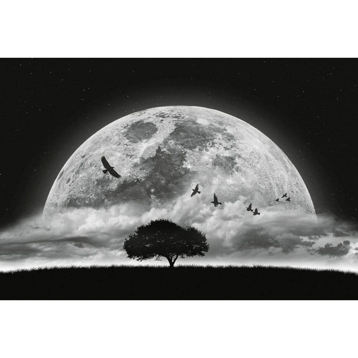 Wizard+genius Moon And Birds Vlies Fotobehang 384x260cm 8-banen