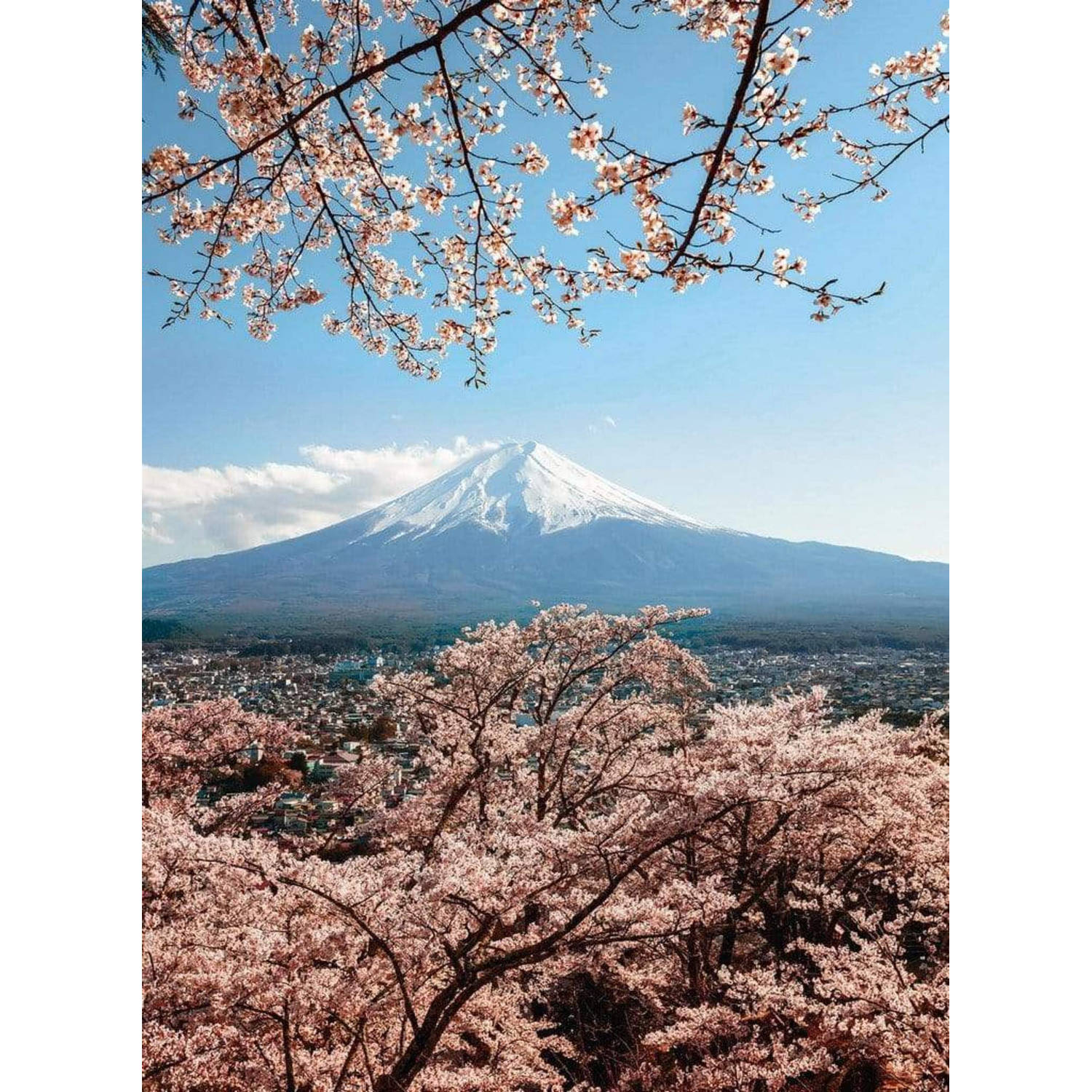 Wizard+genius Mount Fuji In Japan Vlies Fotobehang 192x260cm 4-banen