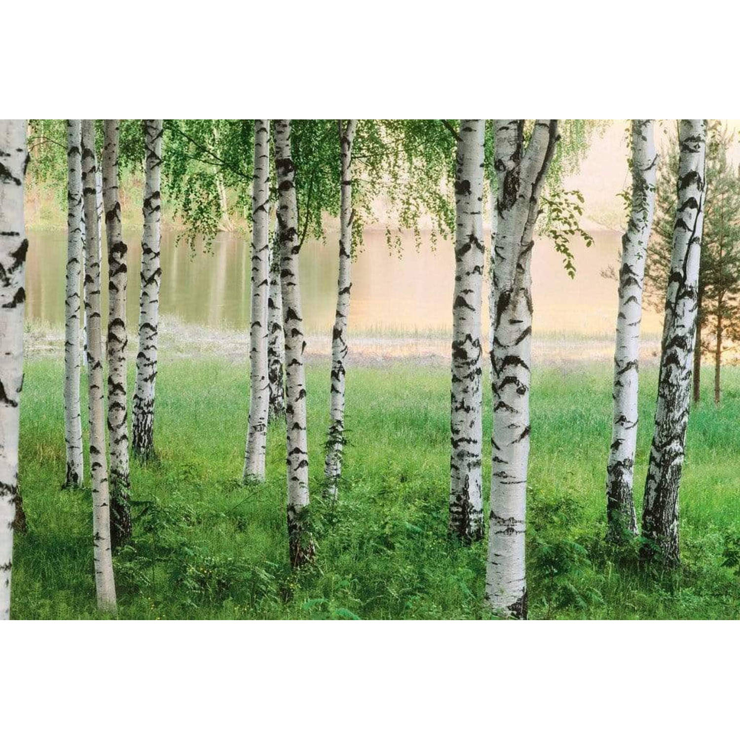 Wizard+genius Nordic Forest Vlies Fotobehang 384x260cm 8-banen