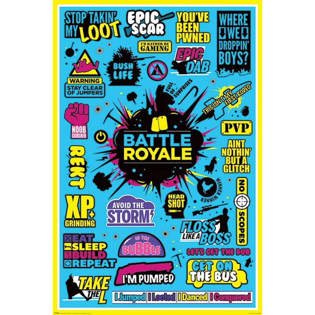 Poster Battle Royale Infographic 61x91,5cm