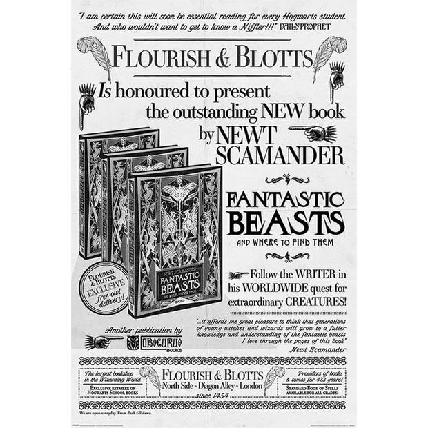 Poster Fantastic Beasts the Crimes of Grindelwald Flourish and Blotts 61x91,5cm