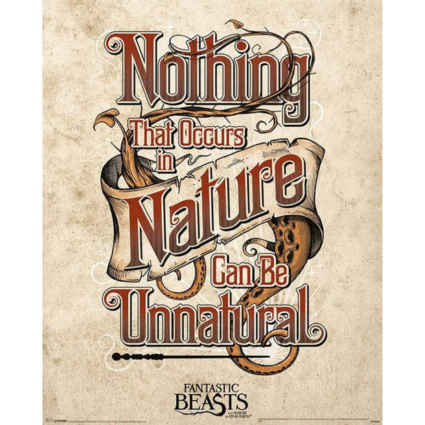 Poster Fantastic Beasts Unnatural 40x50cm
