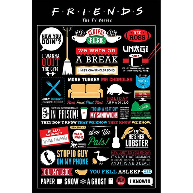 Poster Friends Infographic 61x91,5cm
