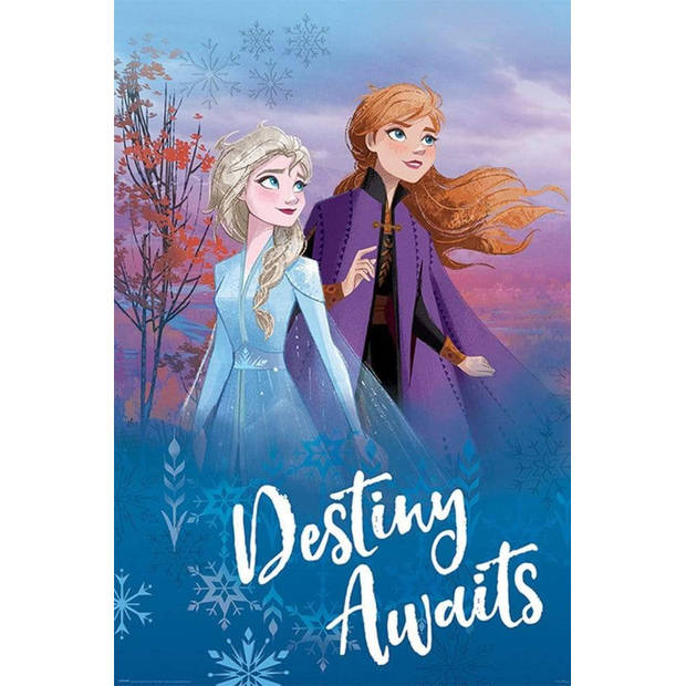 Poster Frozen 2 Destiny Awaits 61x91,5cm