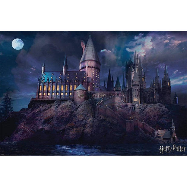 Poster Harry Potter - Hogwarts 91,5x61cm