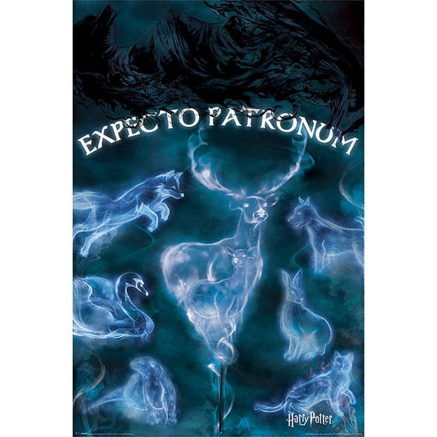 Poster Harry Potter Patronus 61x91,5cm