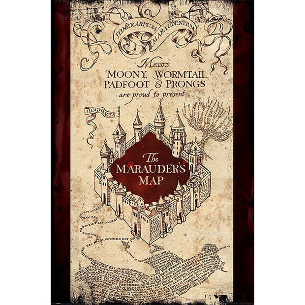 Poster Harry Potter - The Marauders Map - 61x91,5cm