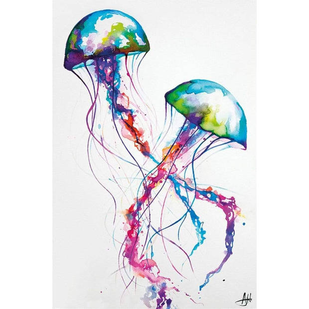 Poster Marc Allante Jellyfish 61x91,5cm