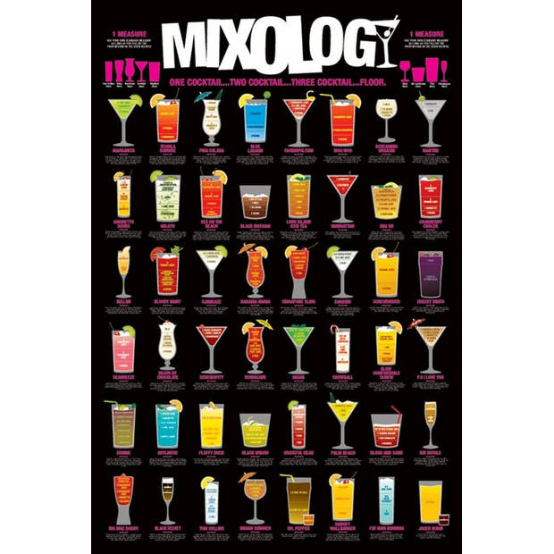 Poster Mixology 61x91,5cm