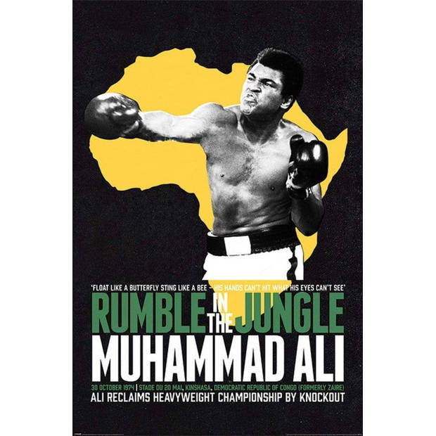 Poster Muhammad Ali Rumble in the Jungle 61x91,5cm