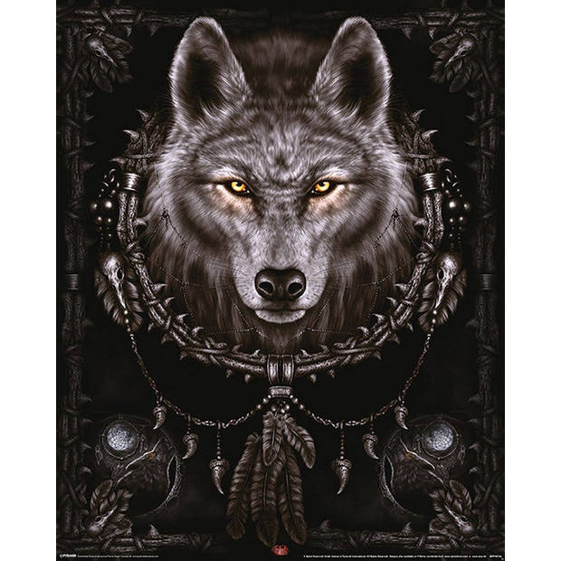 Poster Spiral Wolf Dreams 40x50cm