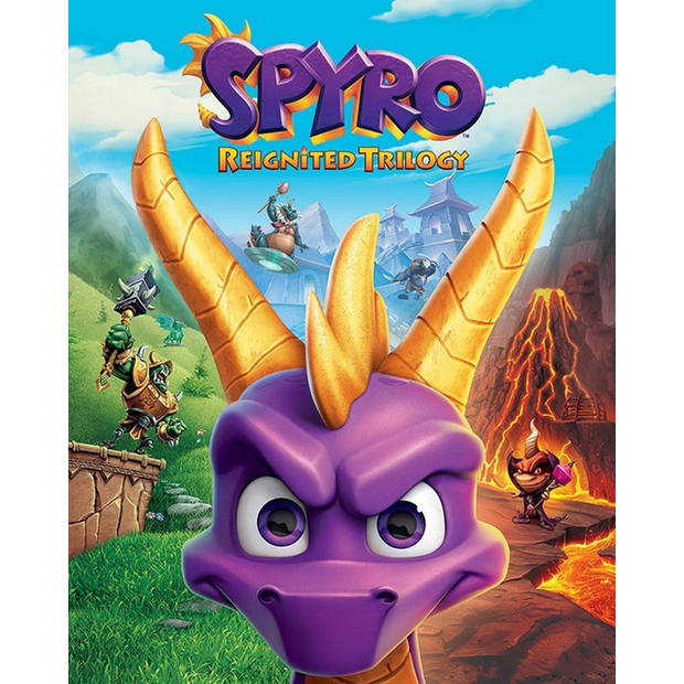 Poster Spyro Game Cover Art 40x50cm