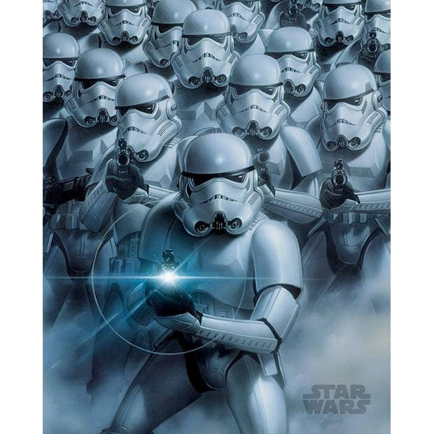 Poster Star Wars Stormtroopers 40x50cm