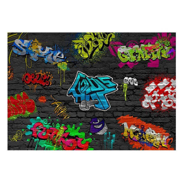 Fotobehang - Graffiti Wall 400x280cm - Vliesbehang