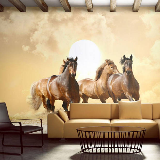 Fotobehang - Running Paarden 250x193cm - Vliesbehang