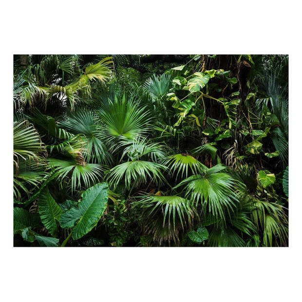 Fotobehang - Sunny Jungle 250x175cm - Vliesbehang