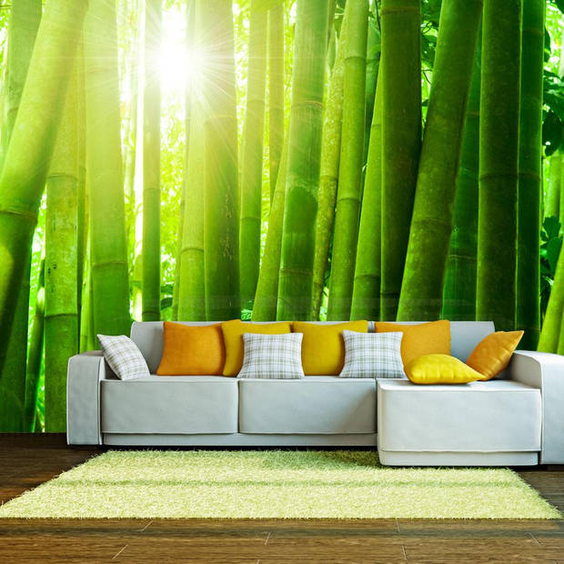 Fotobehang - Zon en Bamboe 200x154cm - Vliesbehang