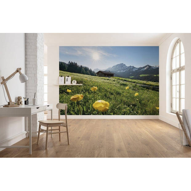 Fotobehang - Alpenglück 400x280cm - Vliesbehang